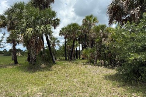 Land in Okeechobee, Florida № 1789890 - photo 14