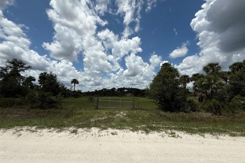 Land in Okeechobee, Florida № 1789890 - photo 21