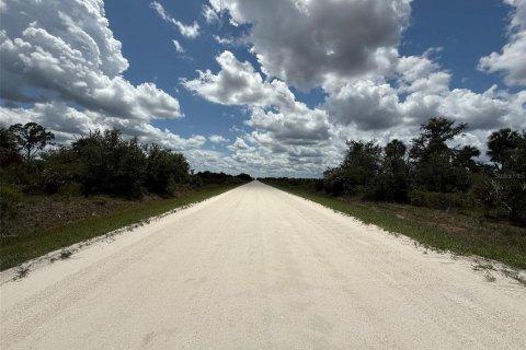 Land in Okeechobee, Florida № 1789890 - photo 19