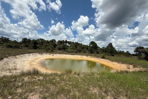 Land in Okeechobee, Florida № 1789890 - photo 9