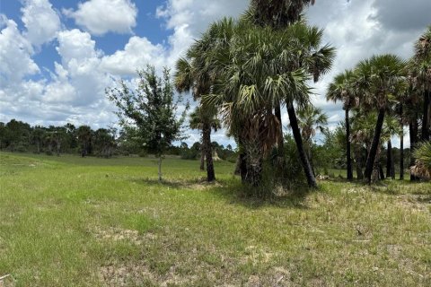 Land in Okeechobee, Florida № 1789890 - photo 15
