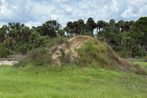 Land in Okeechobee, Florida № 1789890 - photo 10