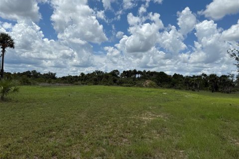 Land in Okeechobee, Florida № 1789890 - photo 16