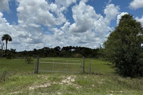 Land in Okeechobee, Florida № 1789890 - photo 20