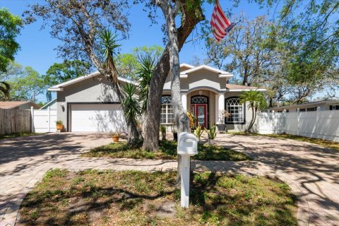Casa en Saint Petersburg, Florida 4 dormitorios, 205.04 m2 № 2128768