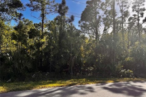 Land in North Port, Florida № 2164862 - photo 13