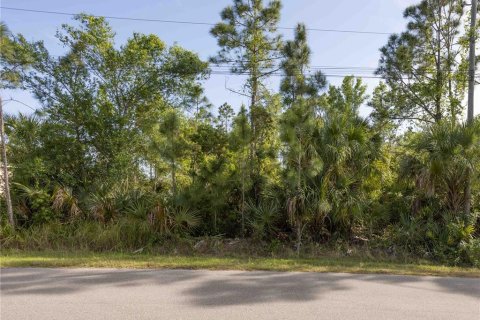 Land in North Port, Florida № 2164862 - photo 2