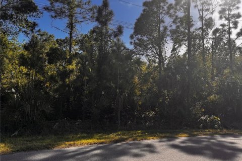 Land in North Port, Florida № 2164862 - photo 6