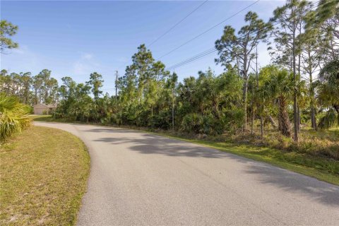 Land in North Port, Florida № 2164862 - photo 8