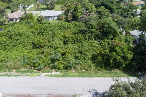 Terreno en venta en Venice, Florida № 1734161 - foto 10