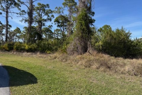 Land in Rotonda, Florida № 2232759 - photo 4