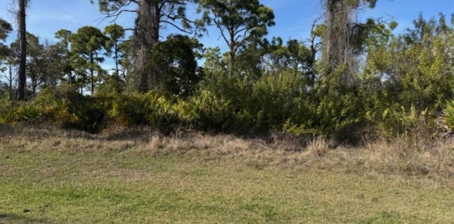 Land in Rotonda, Florida № 2232759