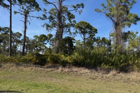 Land in Rotonda, Florida № 2232759 - photo 2