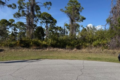 Land in Rotonda, Florida № 2232759 - photo 3