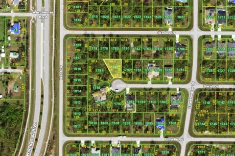 Land in Rotonda, Florida № 2232759 - photo 6