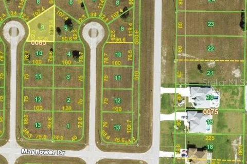 Land in Placida, Florida № 2206040 - photo 2