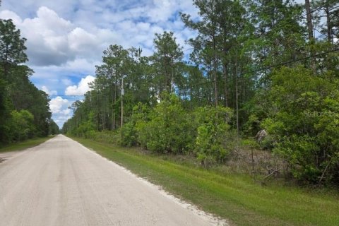 Terrain à vendre à Bunnell, Floride № 2258617 - photo 4