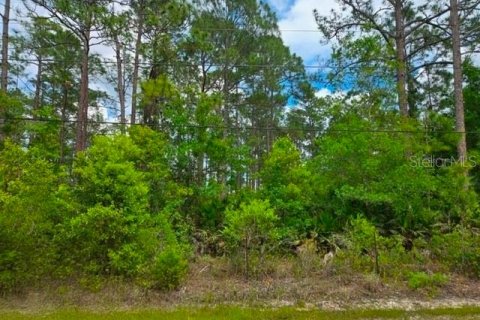 Terrain à Bunnell, Floride № 2258617