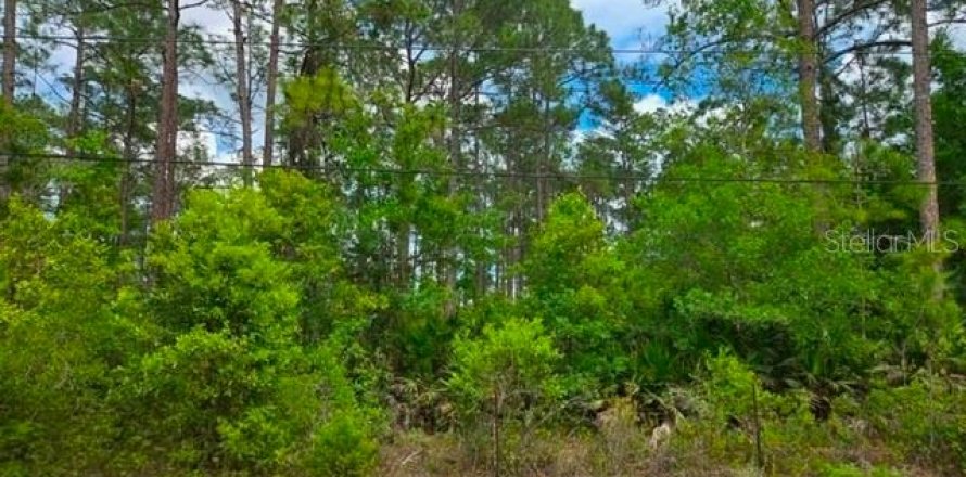 Terrain à Bunnell, Floride № 2258617
