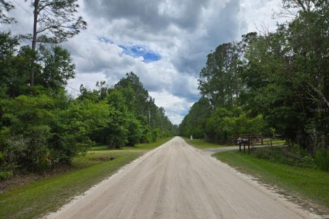 Terrain à vendre à Bunnell, Floride № 2258617 - photo 5