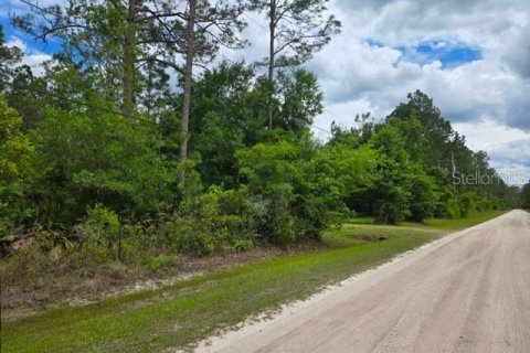 Terrain à vendre à Bunnell, Floride № 2258617 - photo 3
