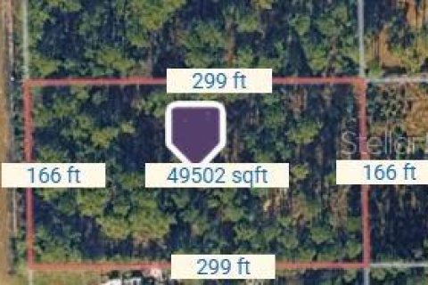 Terrain à vendre à Bunnell, Floride № 2258617 - photo 6