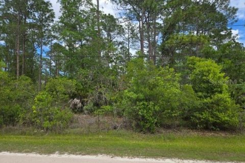 Terrain à vendre à Bunnell, Floride № 2258617 - photo 2