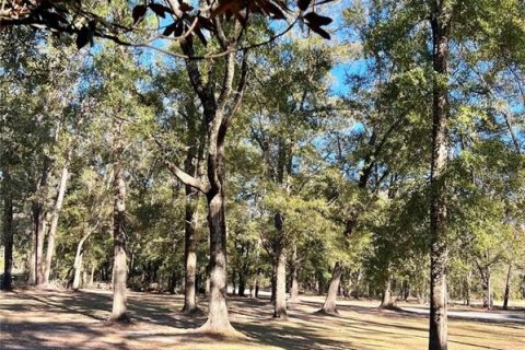 Terreno en venta en High Springs, Florida № 1717177 - foto 9