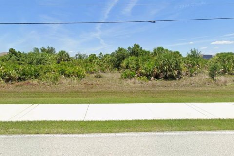 Land in Port Charlotte, Florida № 2207923 - photo 3