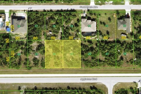 Land in Port Charlotte, Florida № 2207923 - photo 2