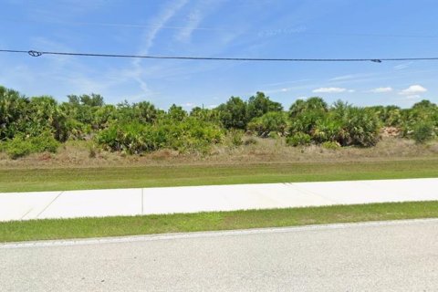 Land in Port Charlotte, Florida № 2207923 - photo 4