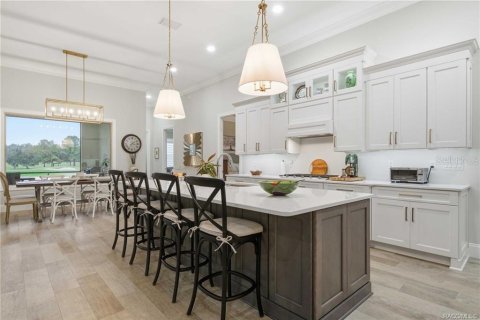 Villa ou maison à vendre à Lecanto, Floride: 4 chambres, 333.15 m2 № 2406245 - photo 15