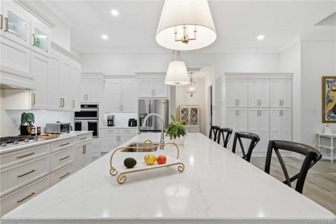 Villa ou maison à vendre à Lecanto, Floride: 4 chambres, 333.15 m2 № 2406245 - photo 22