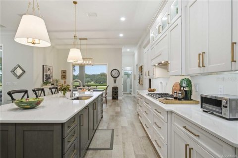 Villa ou maison à vendre à Lecanto, Floride: 4 chambres, 333.15 m2 № 2406245 - photo 18