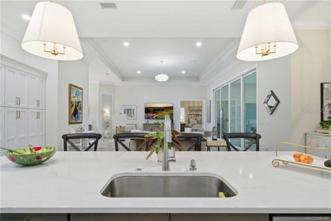 Villa ou maison à vendre à Lecanto, Floride: 4 chambres, 333.15 m2 № 2406245 - photo 21
