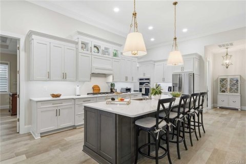 Villa ou maison à vendre à Lecanto, Floride: 4 chambres, 333.15 m2 № 2406245 - photo 20
