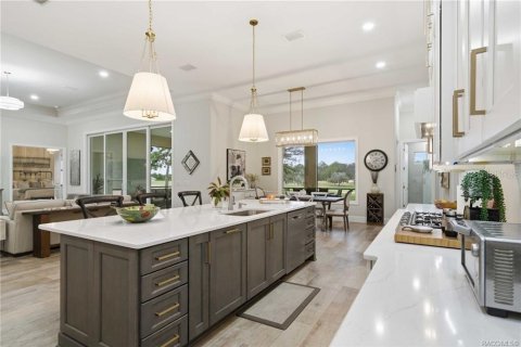 Villa ou maison à vendre à Lecanto, Floride: 4 chambres, 333.15 m2 № 2406245 - photo 16