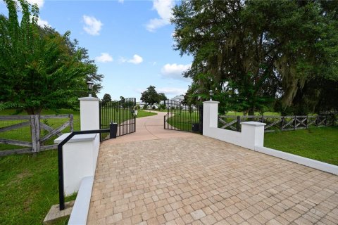 Villa ou maison à vendre à Gainesville, Floride: 7 chambres, 625.6 m2 № 2316827 - photo 3