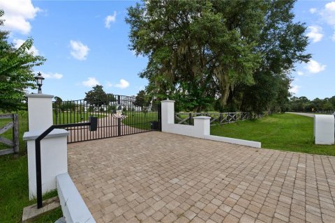 Villa ou maison à vendre à Gainesville, Floride: 7 chambres, 625.6 m2 № 2316827 - photo 2
