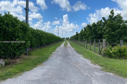 Купить виллу или дом в Майами, Флорида 3 спальни, № 2043353 - фото 24