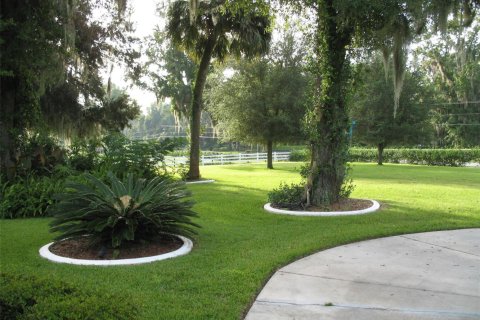 Villa ou maison à vendre à Ocala, Floride: 4 chambres, 397.53 m2 № 2194063 - photo 11