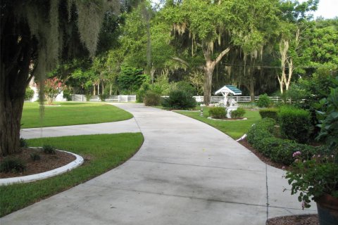 Villa ou maison à vendre à Ocala, Floride: 4 chambres, 397.53 m2 № 2194063 - photo 14