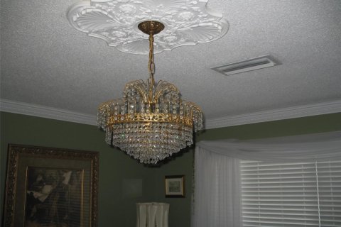 Villa ou maison à vendre à Ocala, Floride: 4 chambres, 397.53 m2 № 2194063 - photo 7