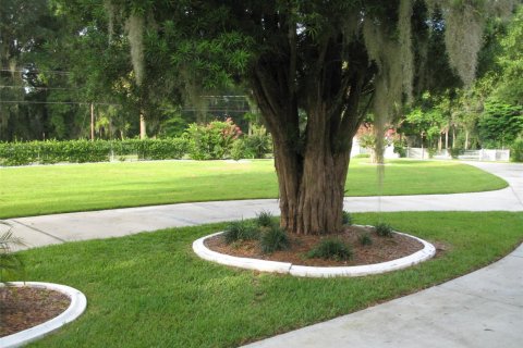 Villa ou maison à vendre à Ocala, Floride: 4 chambres, 397.53 m2 № 2194063 - photo 13