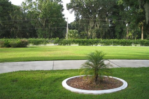 Villa ou maison à vendre à Ocala, Floride: 4 chambres, 397.53 m2 № 2194063 - photo 12