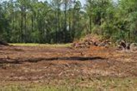Land in Ocala, Florida № 1851414 - photo 10