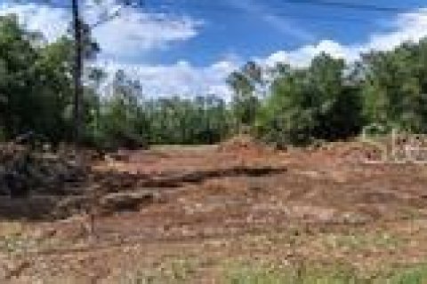 Land in Ocala, Florida № 1851414 - photo 9