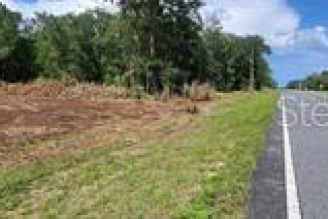Land in Ocala, Florida № 1851414 - photo 1