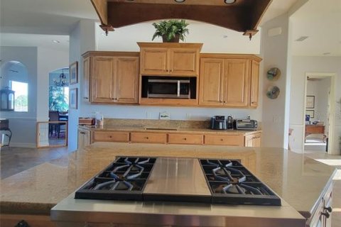 Villa ou maison à vendre à Port Charlotte, Floride: 6 chambres, 443.79 m2 № 2413692 - photo 6