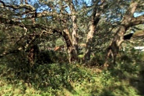 Terreno en venta en Brooksville, Florida № 1915897 - foto 1